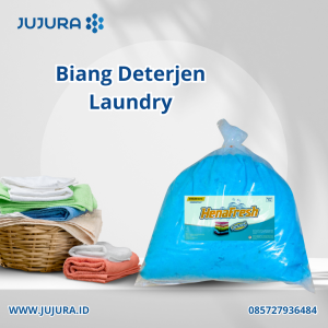 Biang Deterjen Laundry