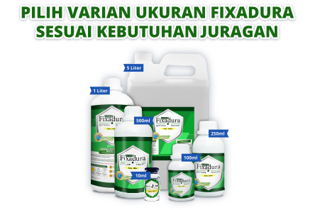 Fixadura
