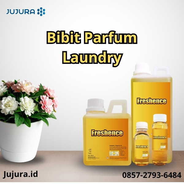 Memulai Bisnis Laundry Kiloan